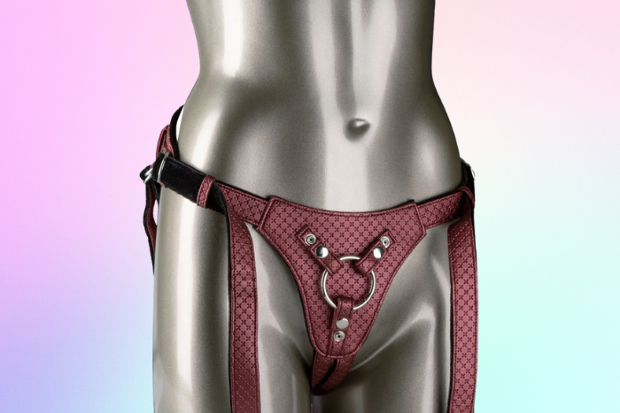 14 Best Lesbian Sex Toys
