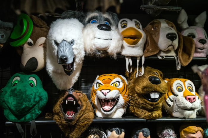 What is the Best Furry Sex Doll to Buy? Here are 4 Options to Choose From